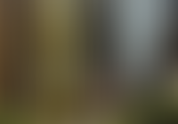 Скоро! Аукцион офисного центра.