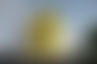 Описание изображения