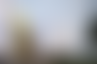 Описание изображения