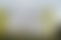 Описание изображения