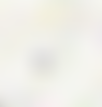 Центральный район со сформированной инфраструктурой