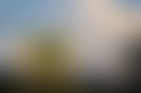 Описание изображения