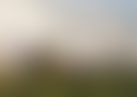 Левел Мичуринский, этапы 3 и 4